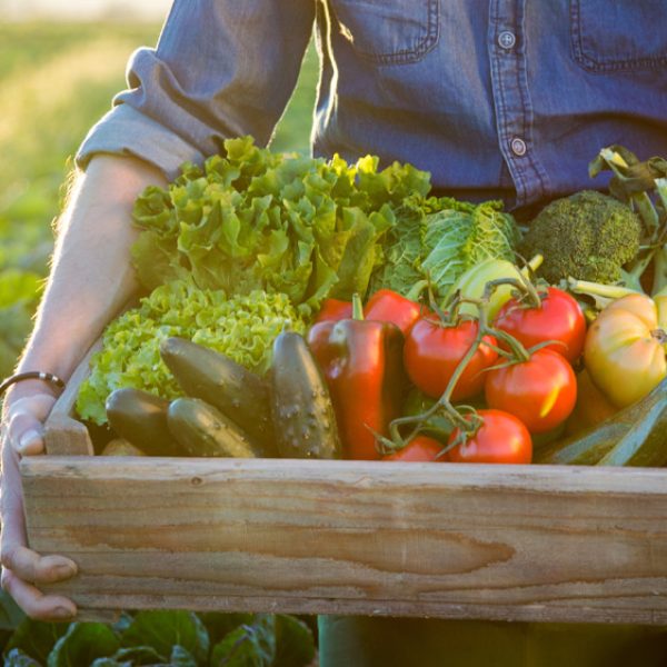 agricultural
